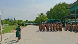 scout67-312.jpg