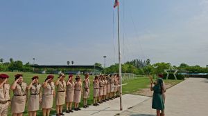 scout67-313.jpg