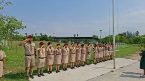 scout67-315.jpg