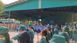 scout67-321.jpg