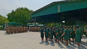 scout67-322.jpg