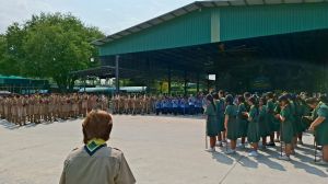 scout67-323.jpg