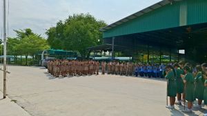 scout67-331.jpg
