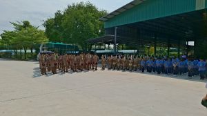 scout67-336.jpg