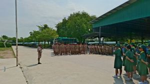 scout67-343.jpg