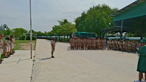 scout67-344.jpg