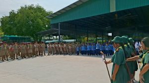 scout67-345.jpg