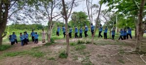 scout67-420.jpg