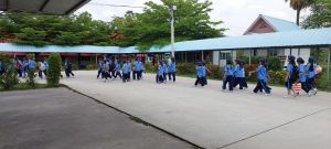scout67-440.jpg