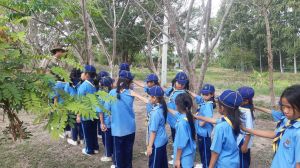 scout67-447.jpg