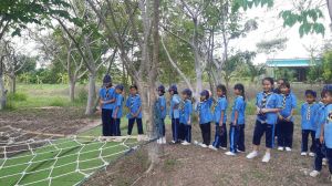 scout67-450.jpg