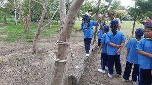 scout67-465.jpg