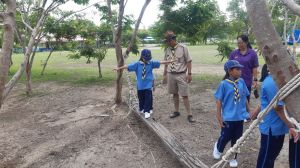 scout67-467.jpg