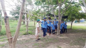 scout67-471.jpg