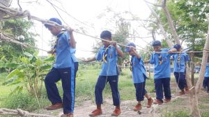 scout67-475.jpg
