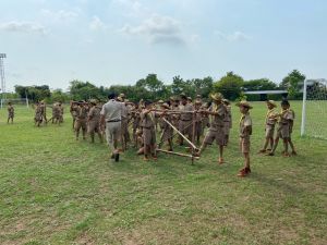 scout67-491.jpg