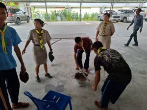 scout67-550.jpg