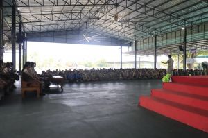 scout67-713.jpg
