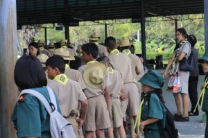 scout67-725.jpg