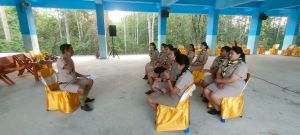 scoutp67-100.jpg