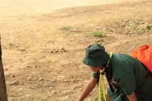 scoutp67-119.jpg
