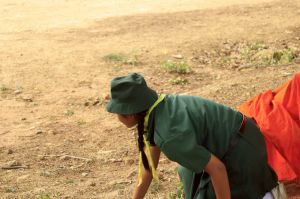 scoutp67-120.jpg