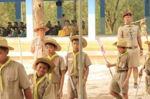 scoutp67-160.jpg