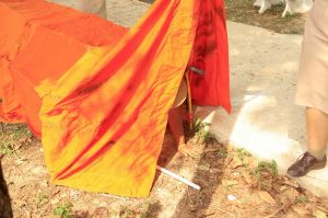 scoutp67-183.jpg