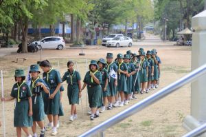 scoutp67-200.jpg