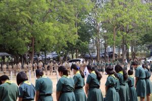 scoutp67-225.jpg