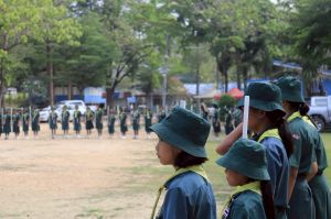 scoutp67-256.jpg