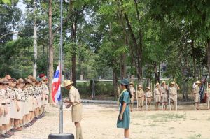 scoutp67-260.jpg