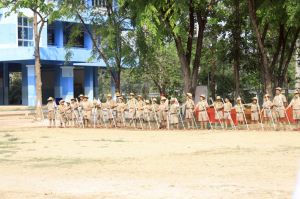 scoutp67-272.jpg