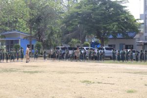 scoutp67-282.jpg