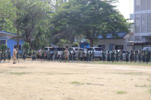 scoutp67-283.jpg