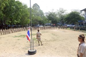 scoutp67-290.jpg
