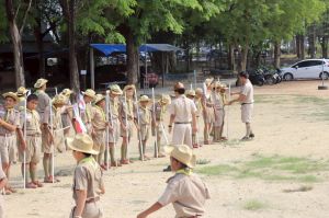 scoutp67-305.jpg