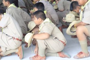 scoutp67-310.jpg