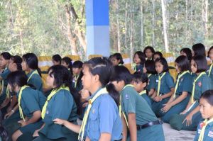 scoutp67-311.jpg