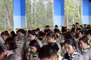 scoutp67-320.jpg