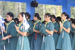 scoutp67-329.jpg